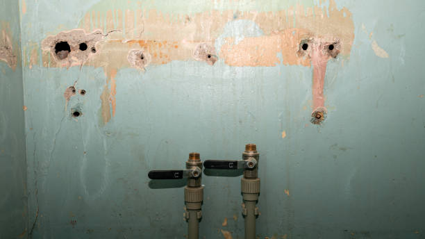 Best Flood restoration services  in Auburn, ME
